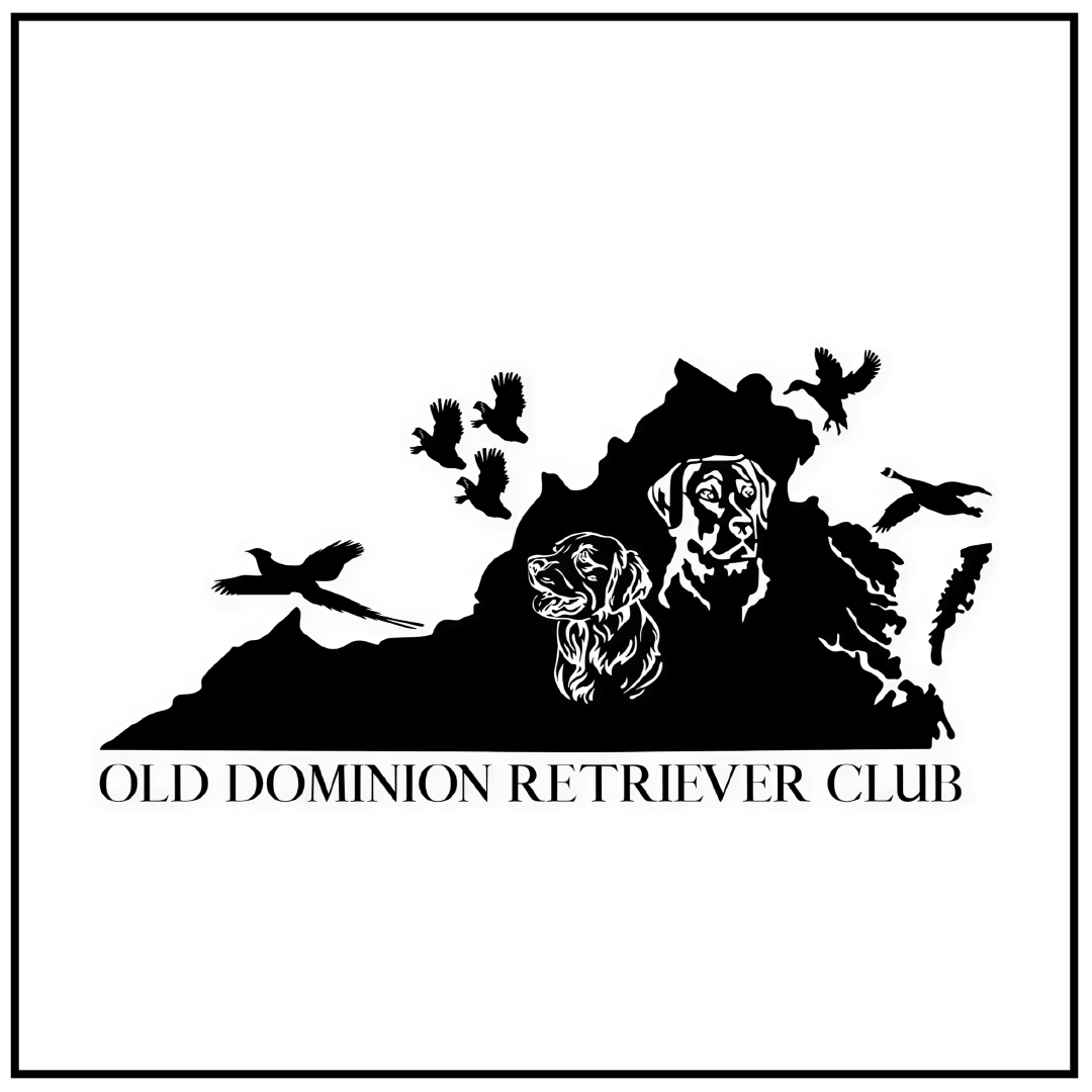 Old Dominion Retriever Club